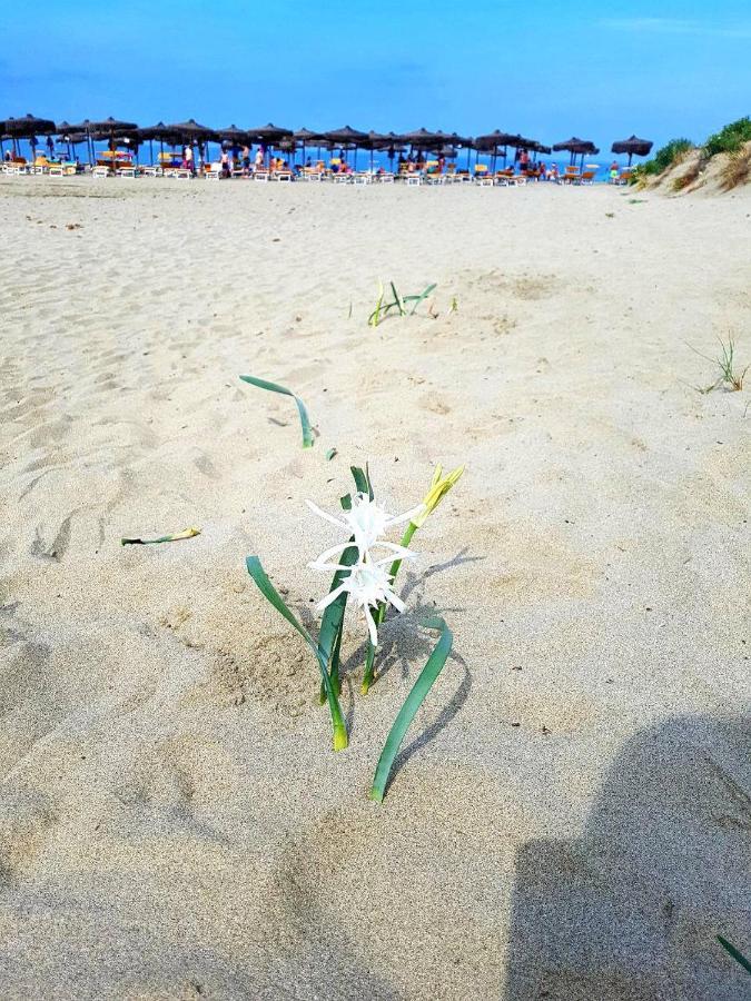 Regina Del Mare Holiday Apartments Тиррения Экстерьер фото